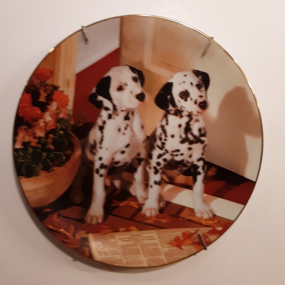 Hamilton Collection Those Delightful Dalmations